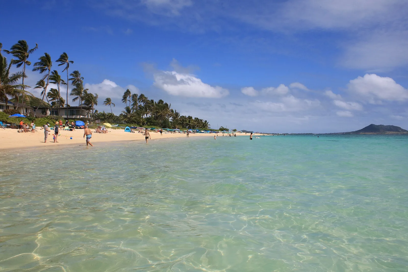 Clear, shallow water and palm trees along Lanikai Beach, with islands offshore