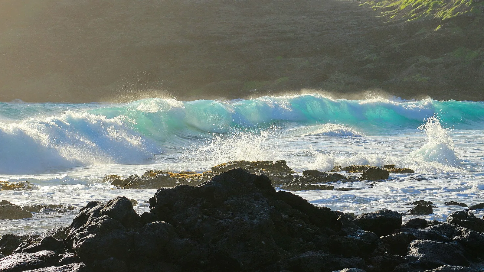 A turquoise wave curling over dark lava rocks in the shorebreak at Makapuu Beach