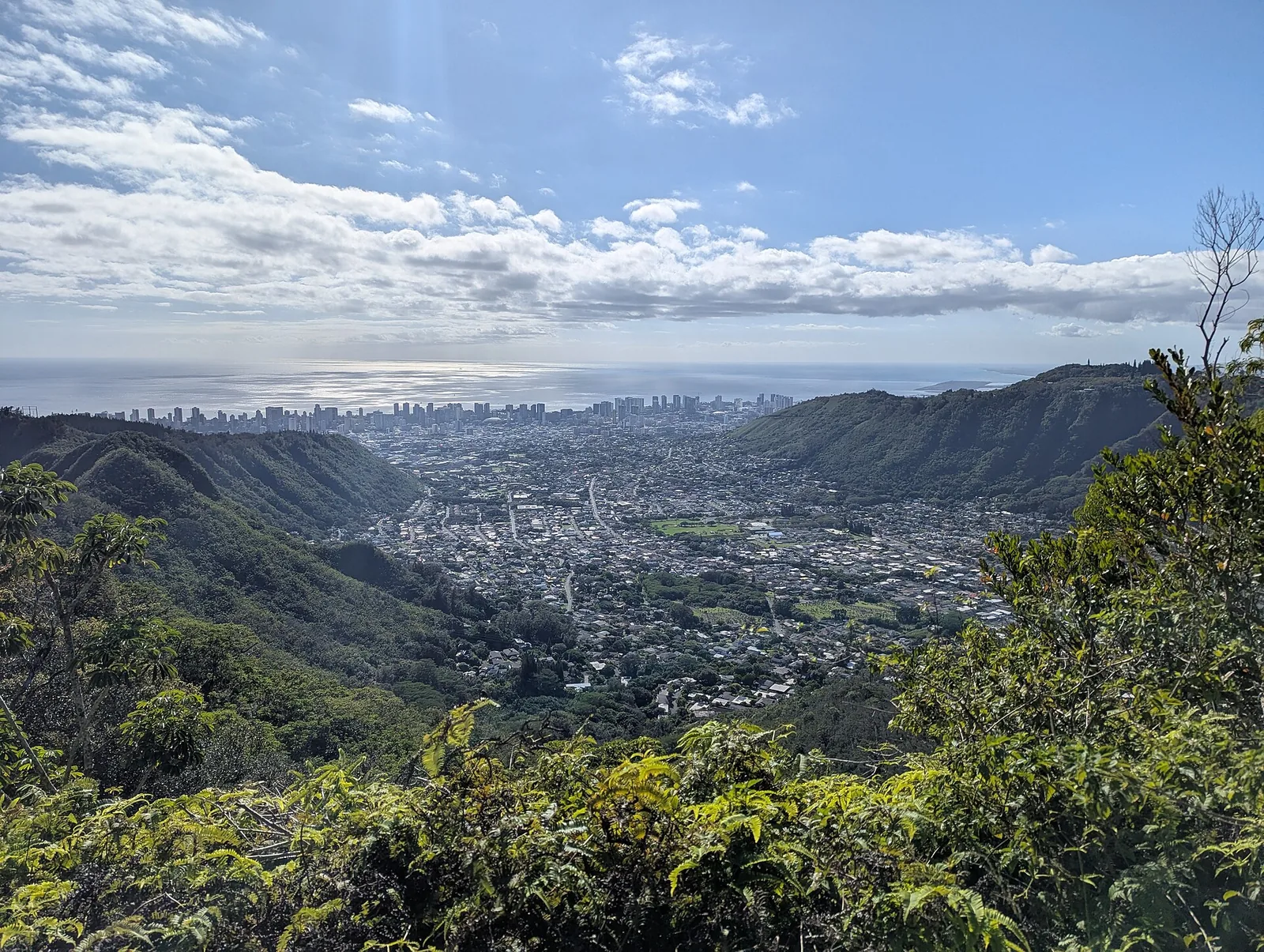 View down Manoa Valley towards Honolulu and the ocean from a forested ridge