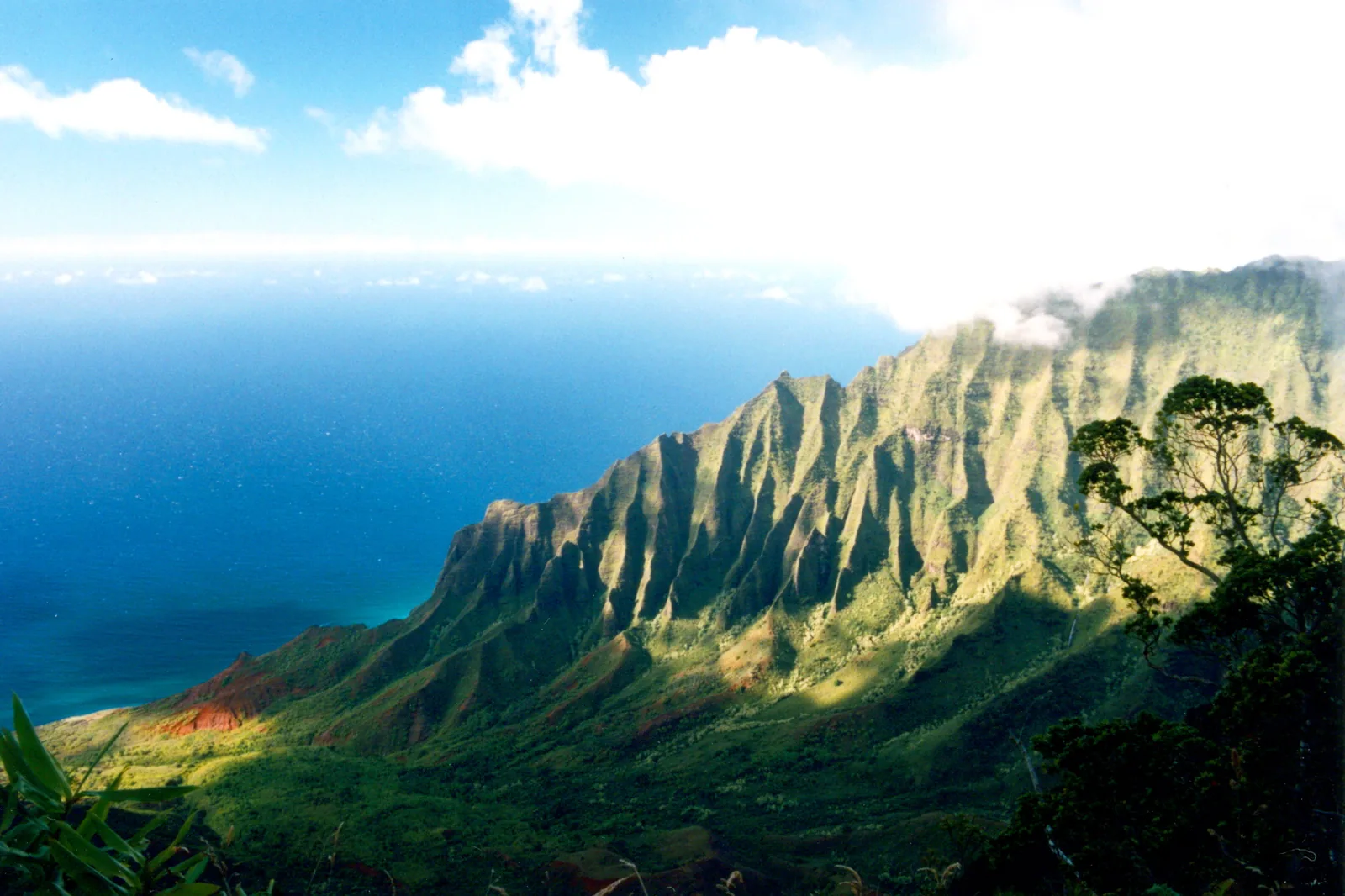 Planning a Trip to Hawaii: 12-Month Timeline, Real Costs and Booking Deadlines