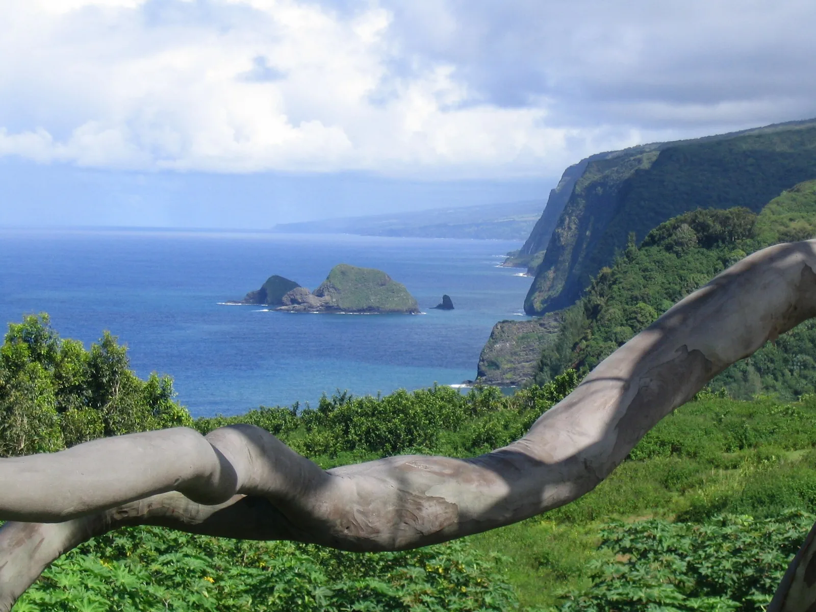 View from the Pololu Valley lookout along green sea cliffs and small offshore islets