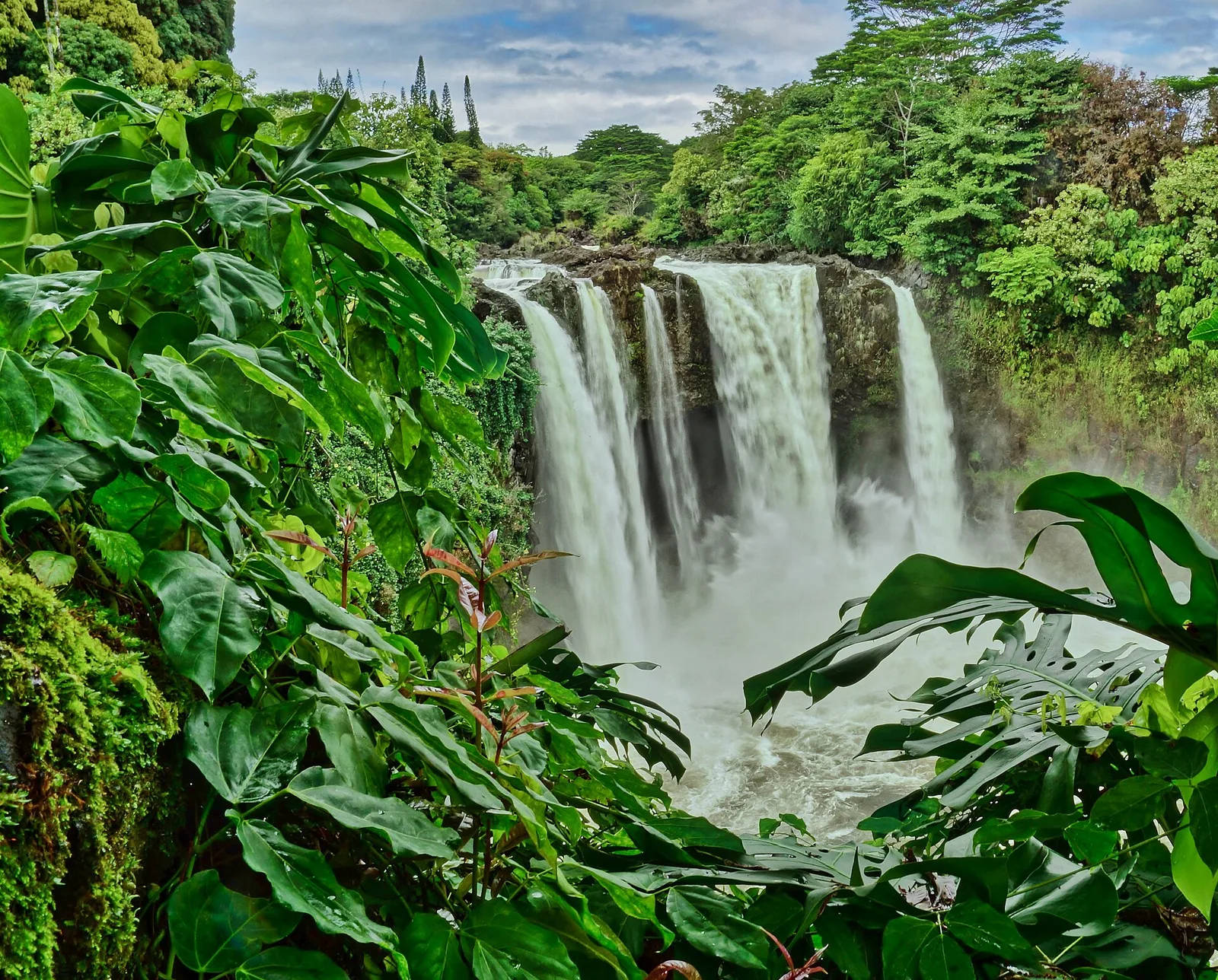 Rainbow Falls in Hilo pouring over a lava ledge surrounded by rainforest
