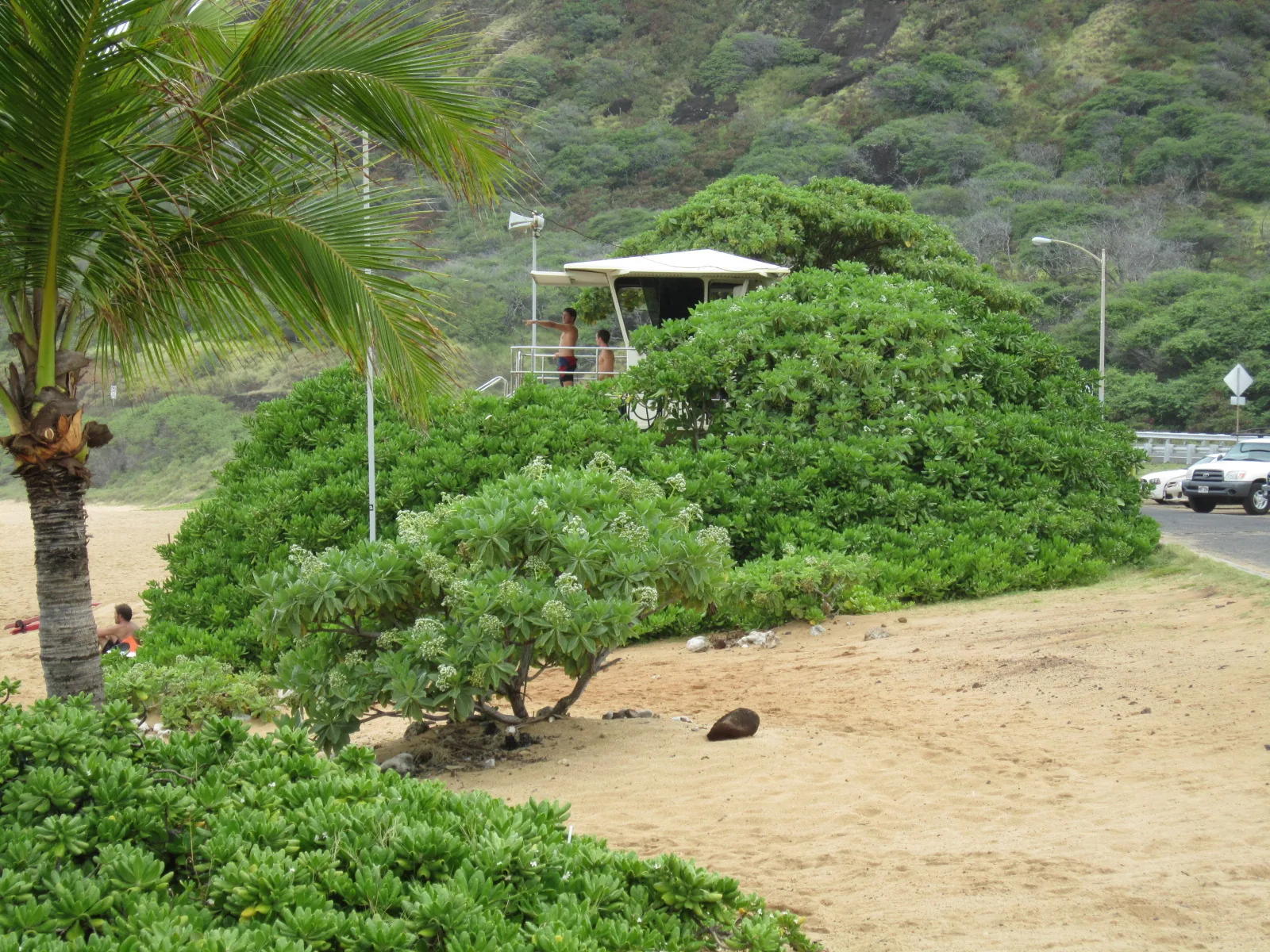 A lifeguard tower among coastal shrubs above the sand at Sandy Beach on Oahu