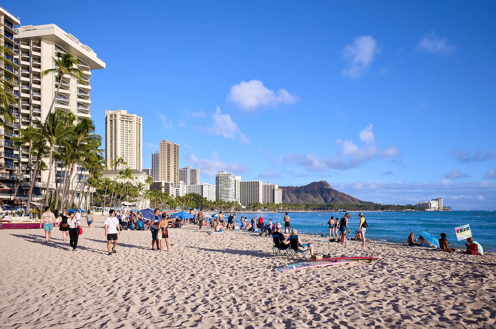 Things to Do in Oahu: 50 Best Picks With Prices, Hours and Bus Routes
