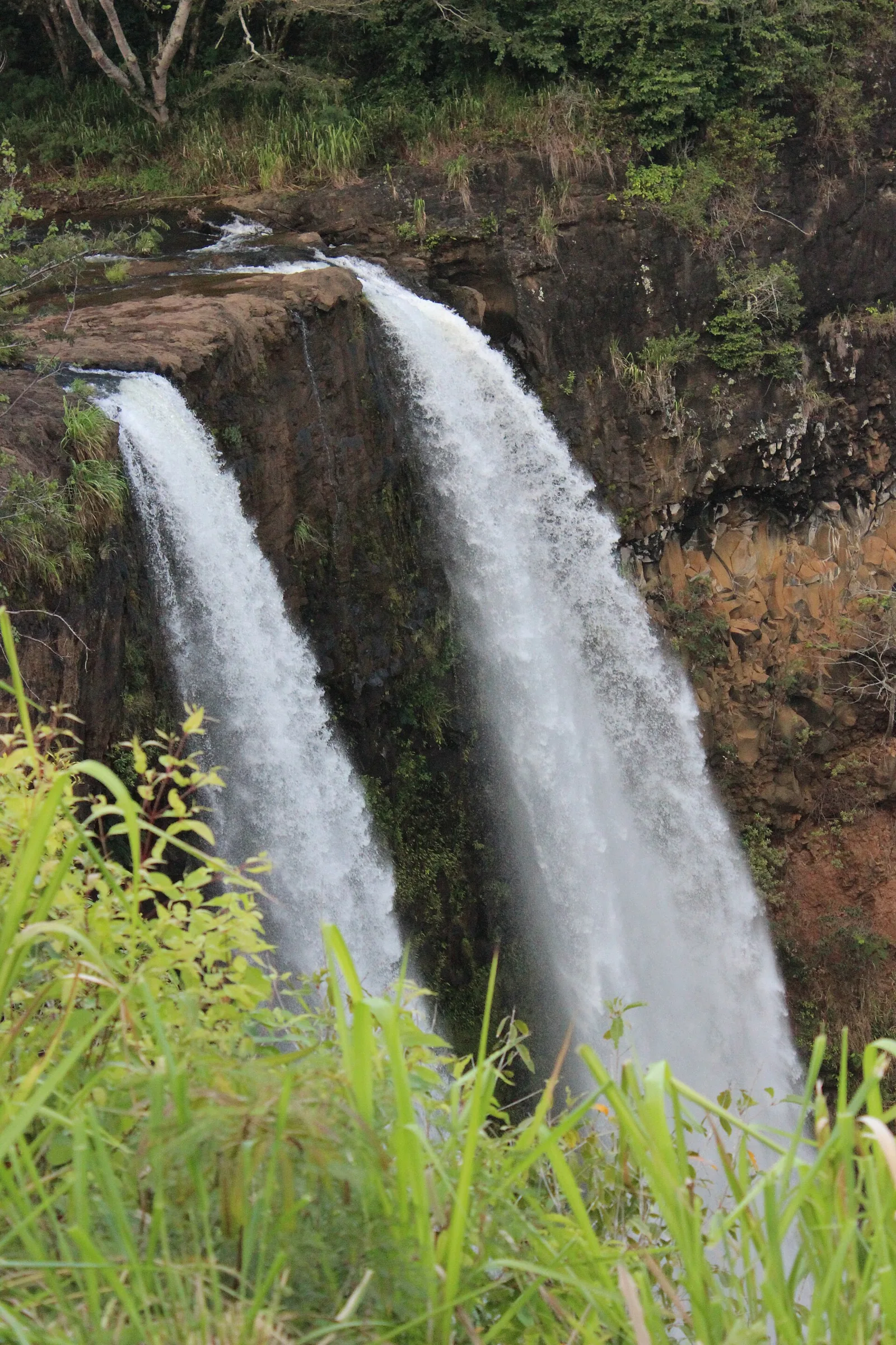 The twin streams of Wailua Falls dropping over a rock ledge surrounded by greenery
