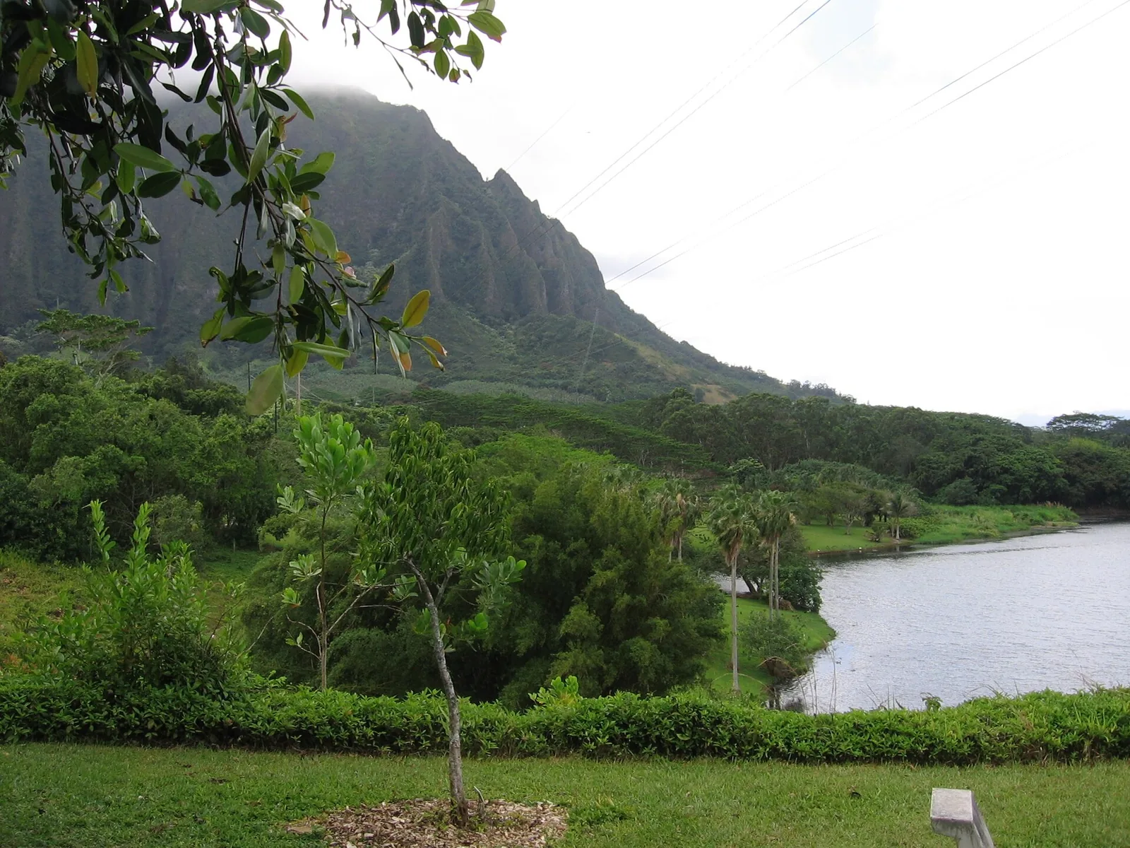 Lake below the jagged Koolau cliffs at Hoomaluhia Botanical Garden, one of the best free things to do in Oahu