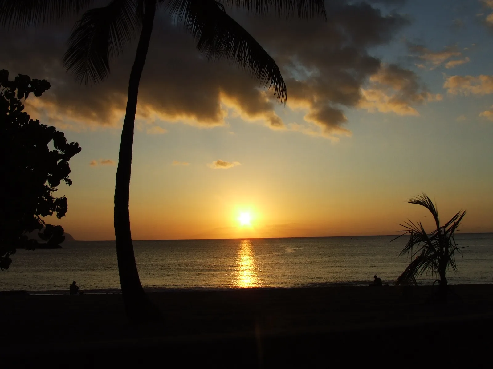 A palm tree silhouetted against an orange sunset with the sun low over the sea at Haleiwa