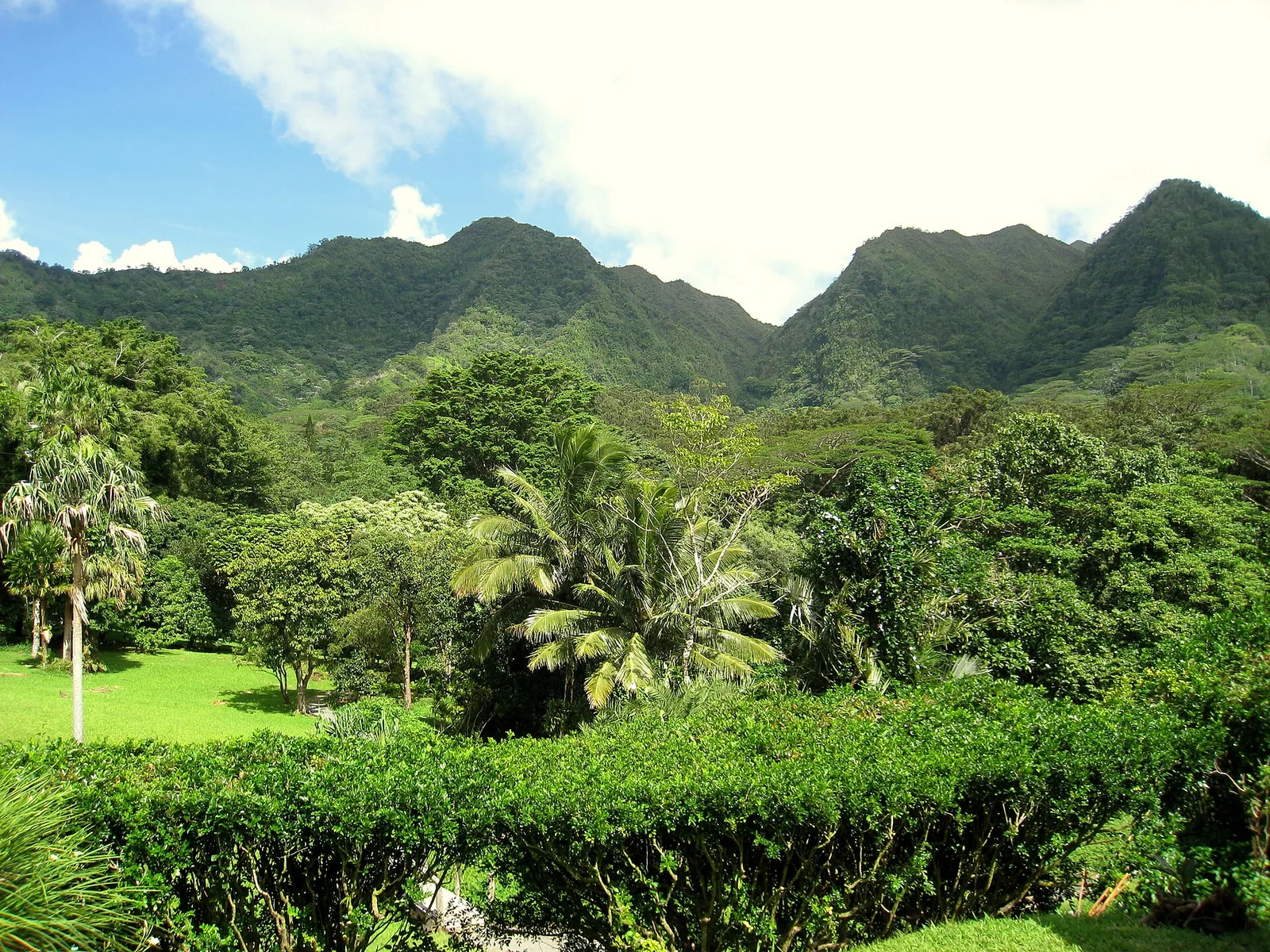 Rainforest gardens of Lyon Arboretum below the green ridges of Manoa Valley, one of the hidden gems Oahu visitors often miss