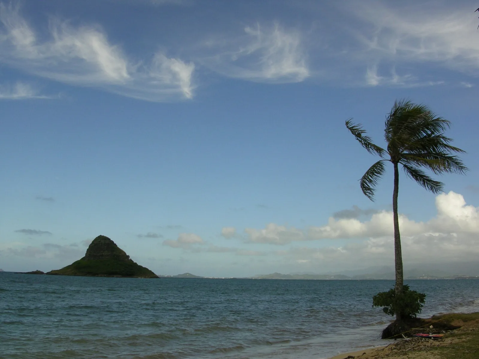 The cone-shaped islet of Mokolii offshore with a leaning palm tree on the shoreline