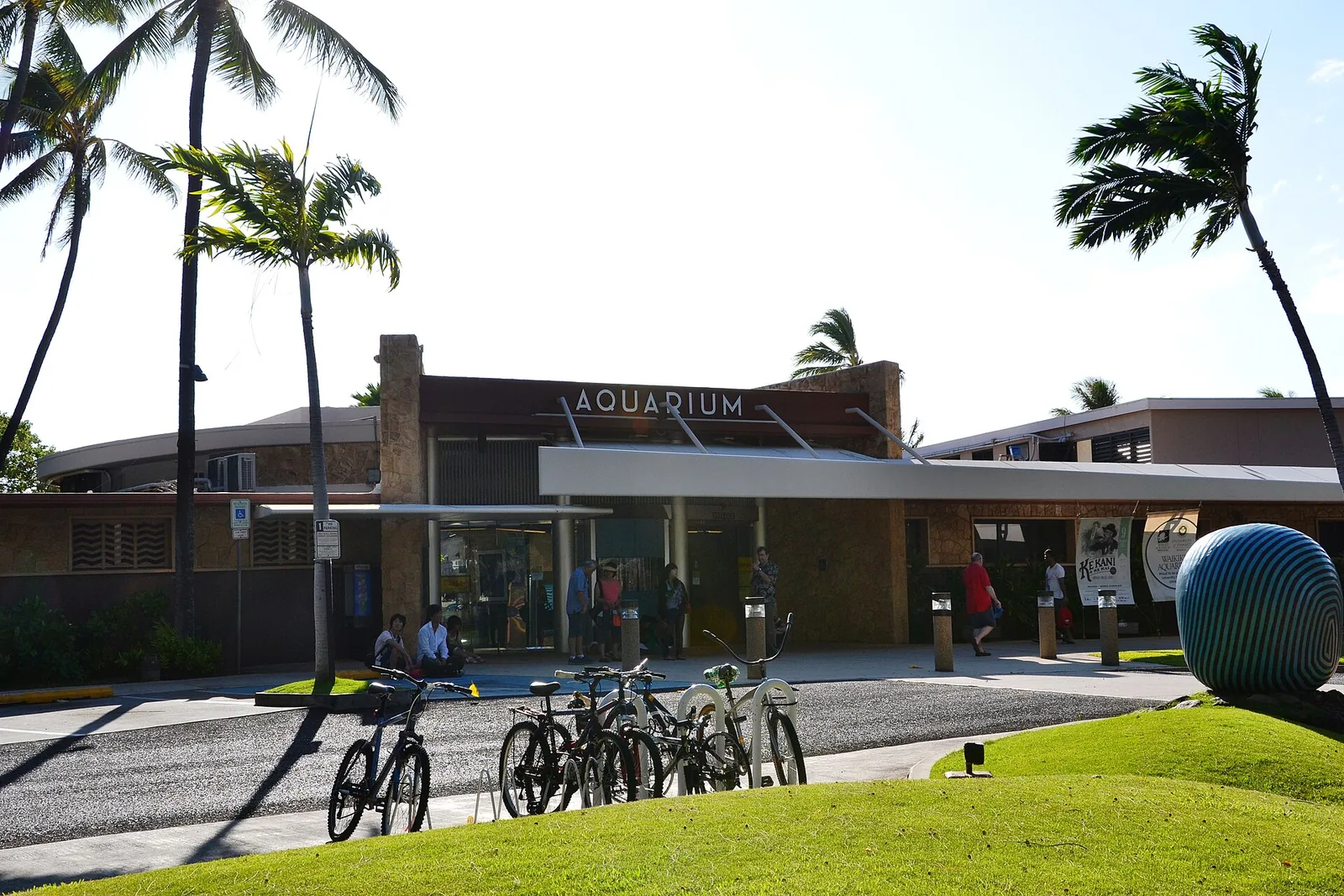 The low modern entrance building of the Waikiki Aquarium with palm trees, a lawn and bicycles parked outside