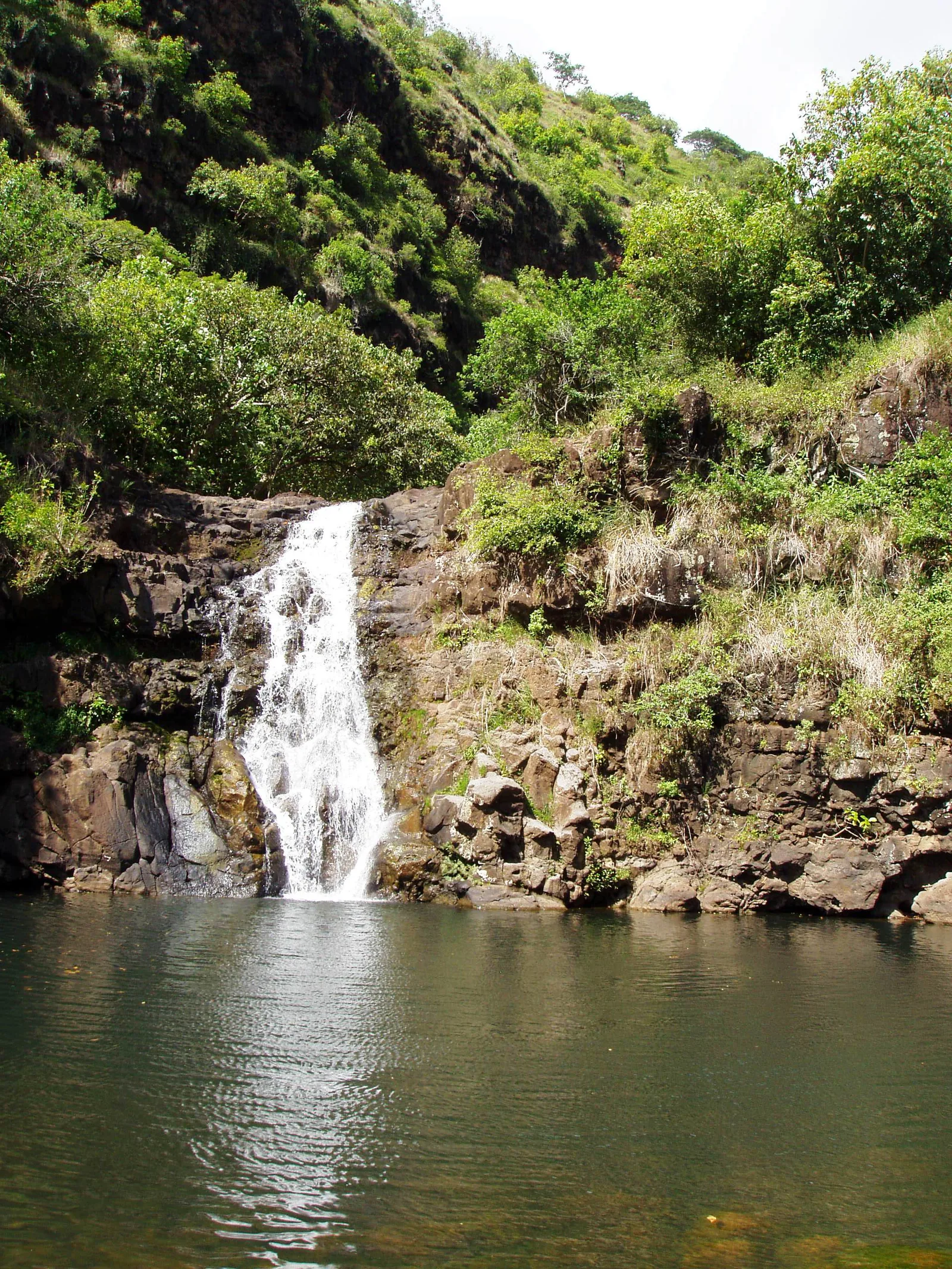 A waterfall dropping into a green-fringed pool in Waimea Valley, one stop that decides whether the Go Oahu card worth it maths adds up